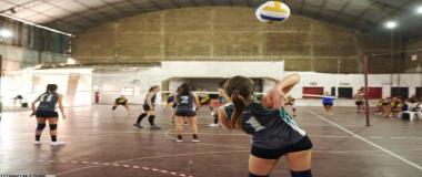 体育IP内容多元开发